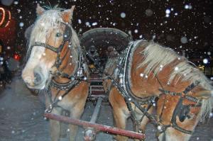 Horse-drawn hayrides were even more fun in the snow.